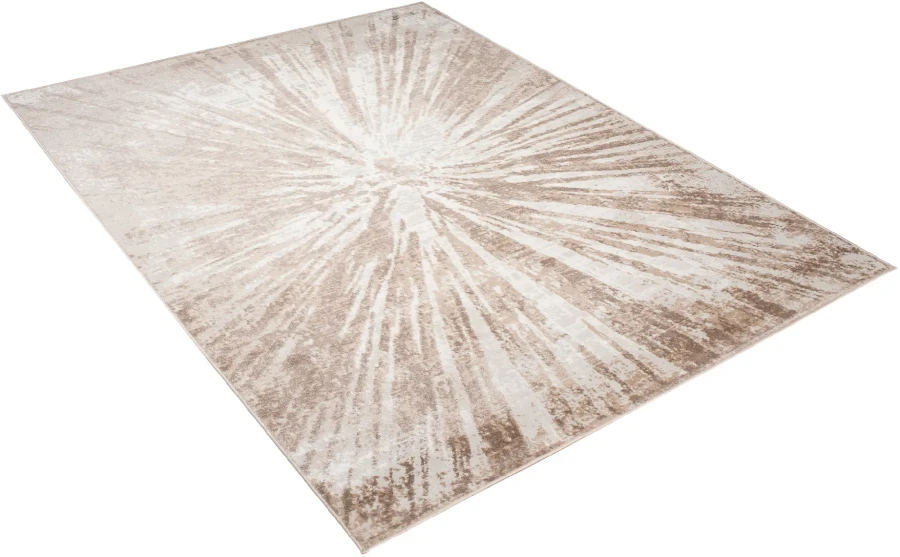 Dywan Modern Rugs - VARIOUS D149E White/Vizon