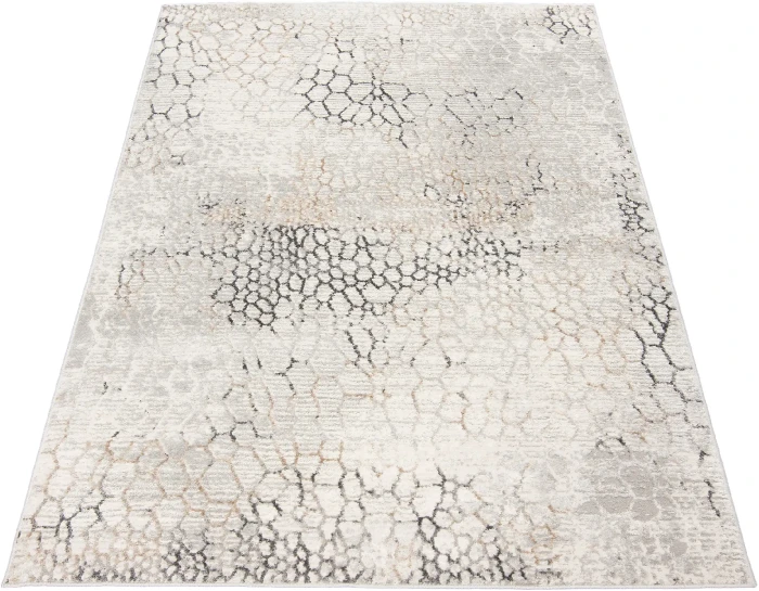 Dywan Modern Rugs - VARIOUS G513A White/D_Vizon