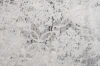 Dywan Art Rugs - TRANSFORM V475B Cream