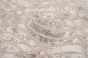 Dywan Art Rugs - TRANSFORM V488J Cream