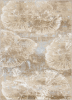 AVANI_CERAMA_beż_beige_1,60x2,20-medium.png