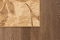 FLORIS_bez_beige_2,00x3,00_R-medium.png
