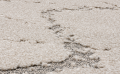 BORO perla pearl L-medium.png