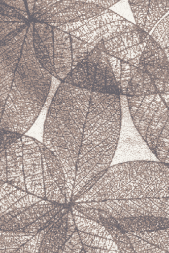 HAUST beż beige-medium.png