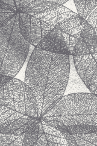 HAUST popiel grey-medium.png