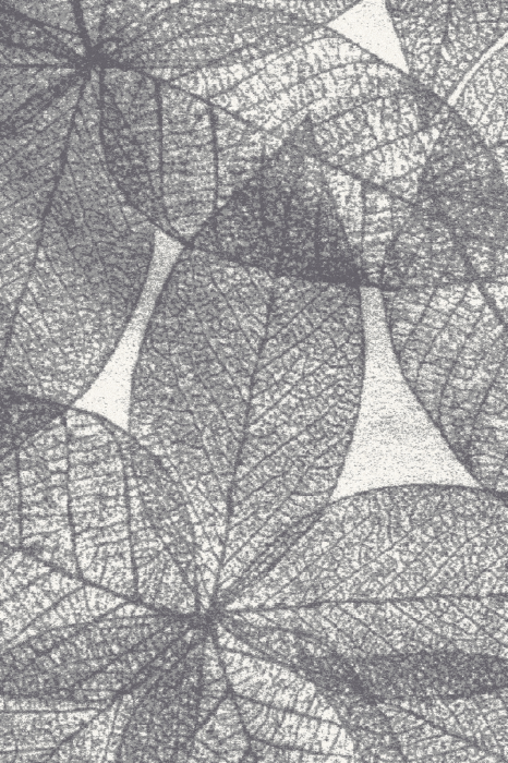HAUST popiel grey-medium.png