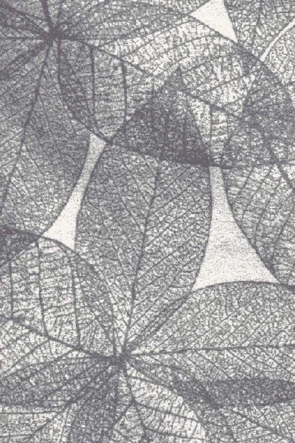 HAUST popiel grey-medium.png