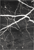 BLACKY_antracyt_anthracite_1,6x2,3_P-medium.png