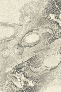 Dywan Agnella Isfahan - BELLONA Perła