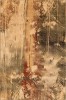 ISFAHAN_ORNAN_sahara_2,00x3,00_P-medium.jpg