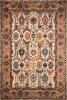 image,oman_red (1).webp