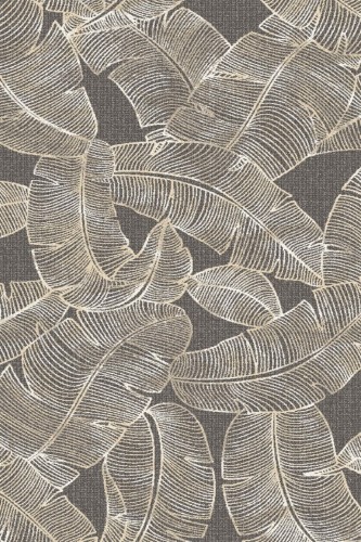 Feath graphite-medium.jpg