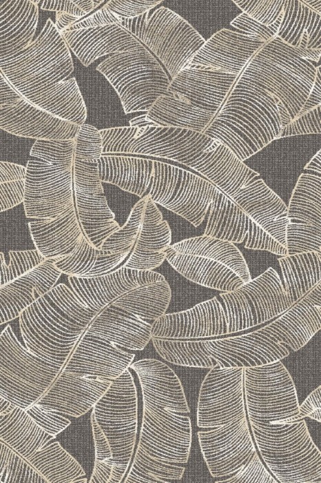 Feath graphite-medium.jpg