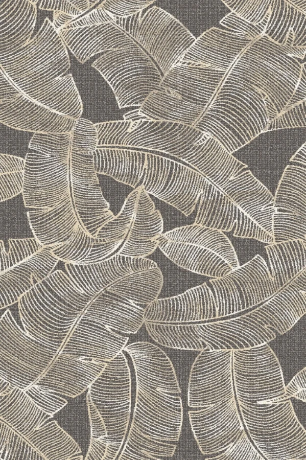 Feath graphite-medium.jpg