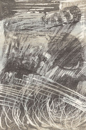 GALE_szary_grey_S-medium.jpg