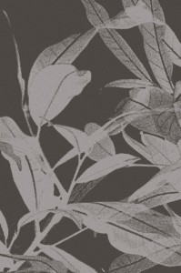 Dywan Agnella Tempo Natural - GANGES Grafit