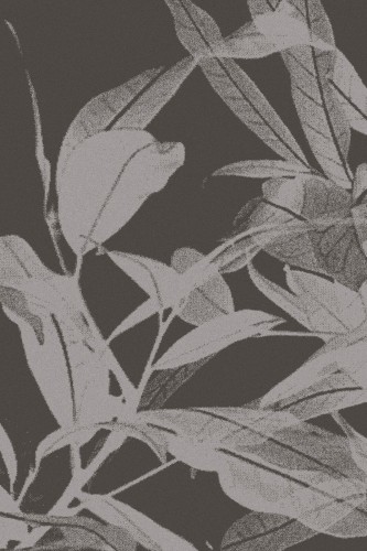 GANGES_grafit_graphite_S-medium.jpg