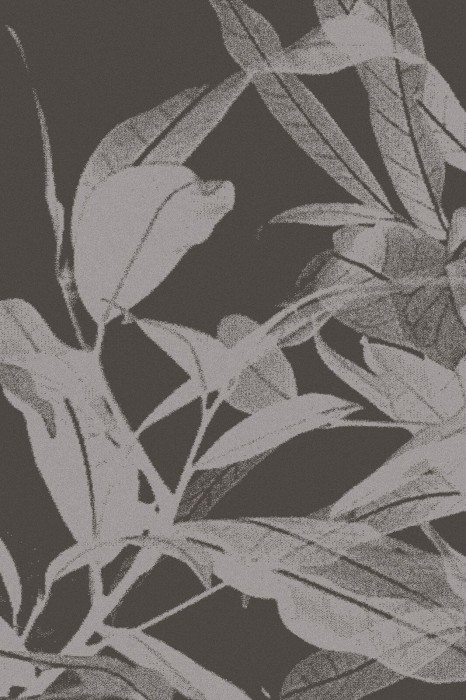 GANGES_grafit_graphite_S-medium.jpg