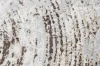 Dywan Modern Rugs - ELEGANCE K907D Cream/L.Grey