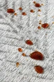 java_ivory_detal_krople_kawa_1_jpg.webp