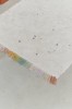 C-STARDUST-L_2aa.jpg