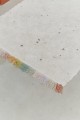 C-STARDUST-L_2aa.jpg