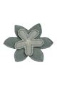 C-POLLY_5aaa.png