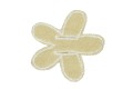 C-WIFLOWER_15aa.jpg
