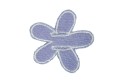 C-WIFLOWER_13aa.jpg