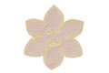 C-WIFLOWER_11aaa.jpg