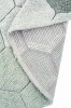 C-COMB-BSG_4aa.jpg
