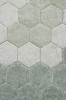 C-COMB-BSG_3aa.jpg