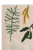 C-BOTANIC_10.png