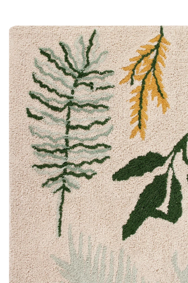 C-BOTANIC_10.png