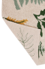 C-BOTANIC_8.png