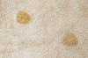 C-HIDO-HNY_5.jpg