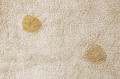 C-HIDO-HNY_5.jpg