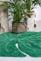 C-MONSTERA_8.jpg