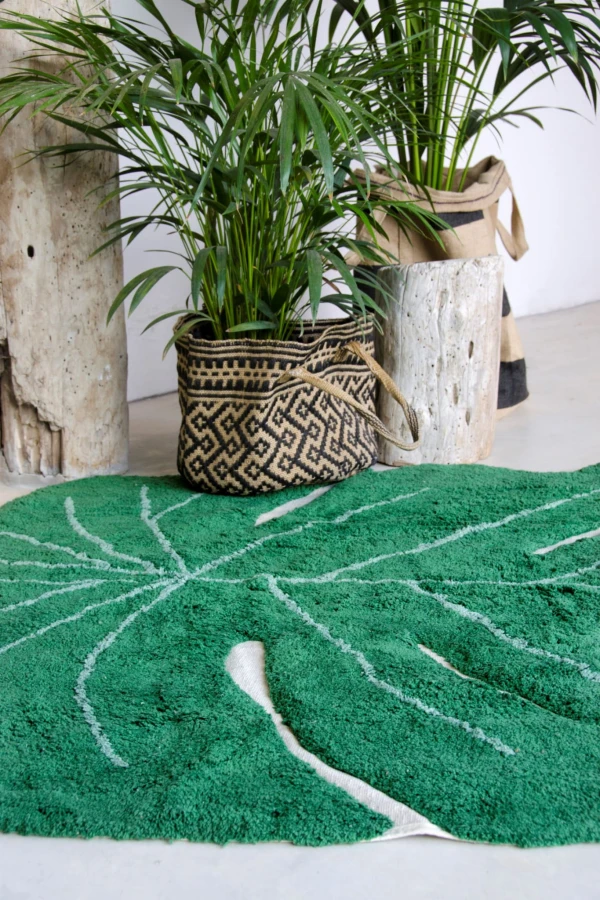 C-MONSTERA_8.jpg