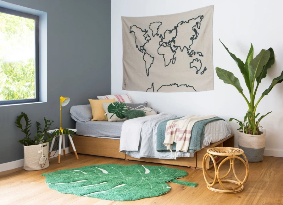 C-MONSTERA_5.jpg