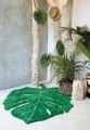 C-MONSTERA_9.jpg