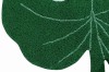 C-MONSTERA_6.jpg
