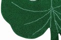 C-MONSTERA_6.jpg