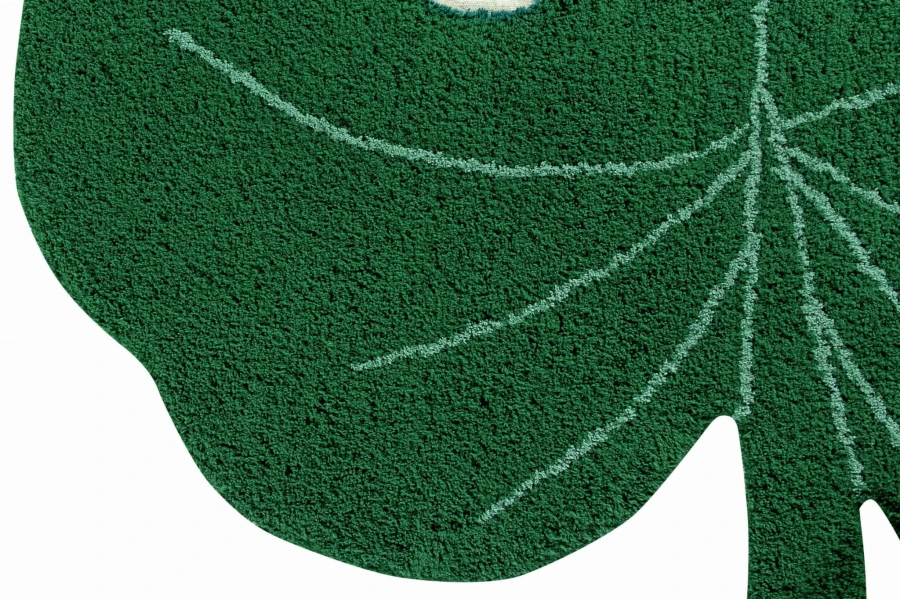 C-MONSTERA_6.jpg