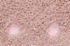 C-PICONE-VNU_10.jpg