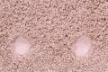 C-PICONE-VNU_10.jpg