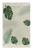 C-TROP-GREEN_1.png