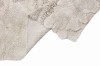 C-VEGAR_10.jpg
