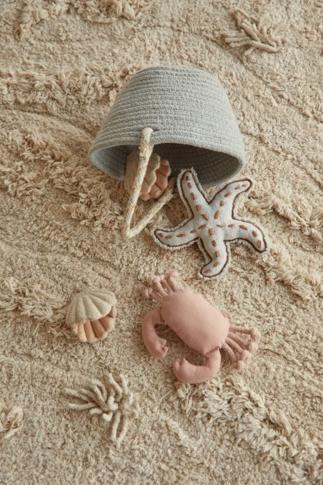 C-ISLAND_2.jpg