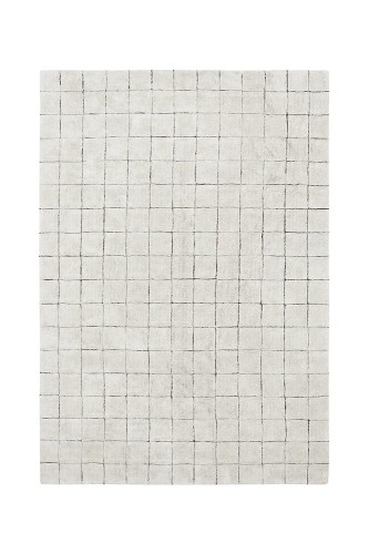 C-MOSAIC-S_1.jpg